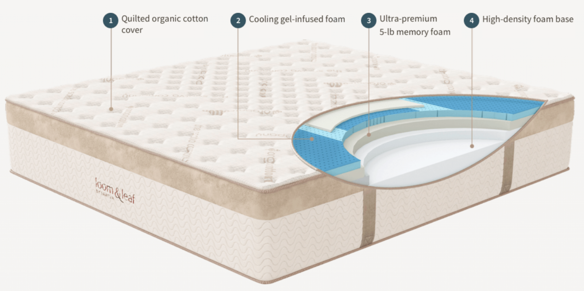 5 Best Mattresses For Stomach Sleepers in 2024 Complete Guide