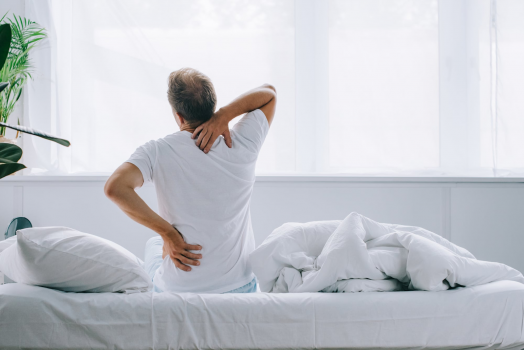 Best Mattresses for Back Pain REviews