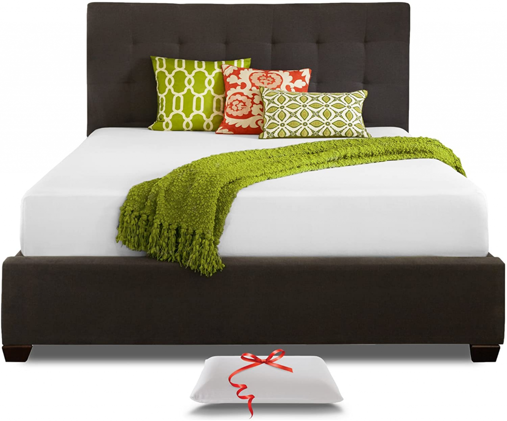 Live & Sleep Resort Classic - RV Short Queen Memory Foam Mattress review