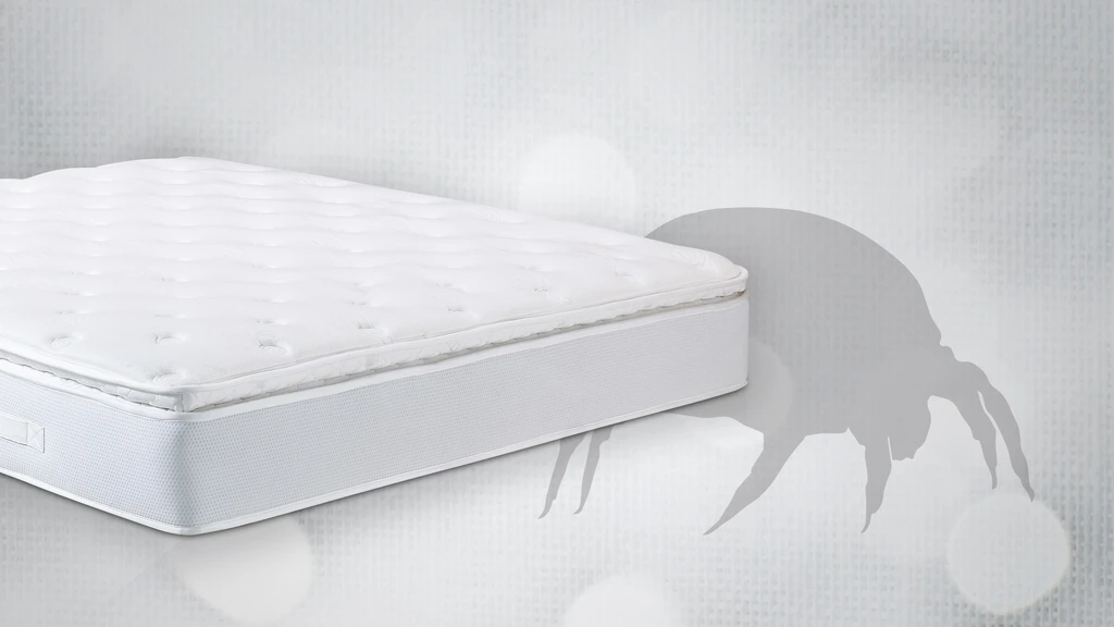 Dust on Mattress