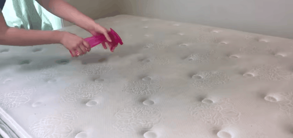  Prepare A Mattress Cleaning Solution