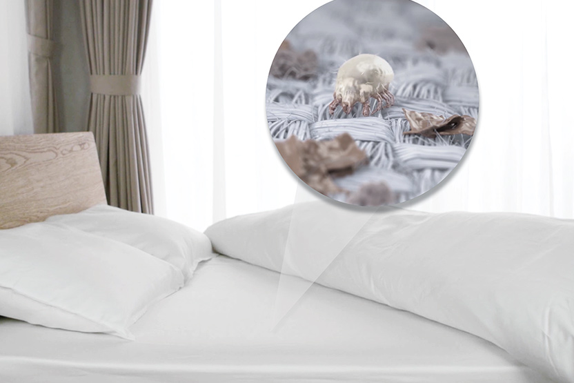 How Long Can Scabies Live In A Mattress Professional Guide