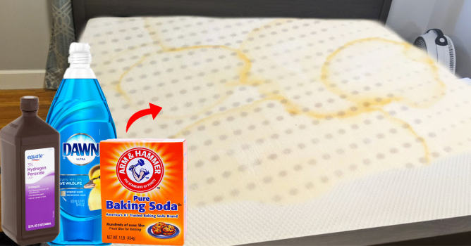 How To Clean Urine From A Memory Foam Mattress