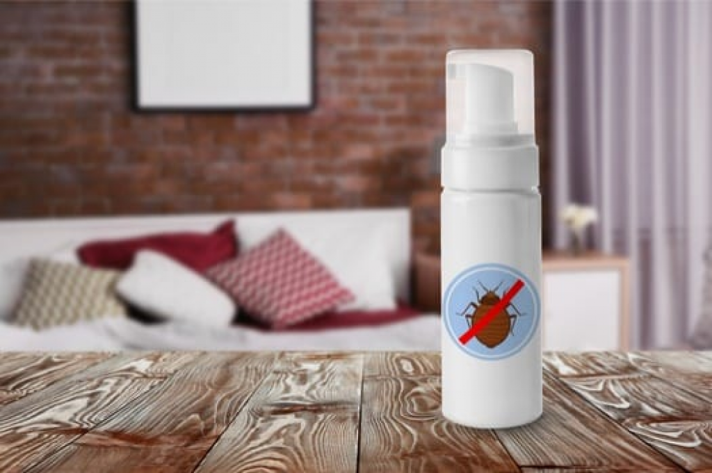 disinfect mattress for bed bugs