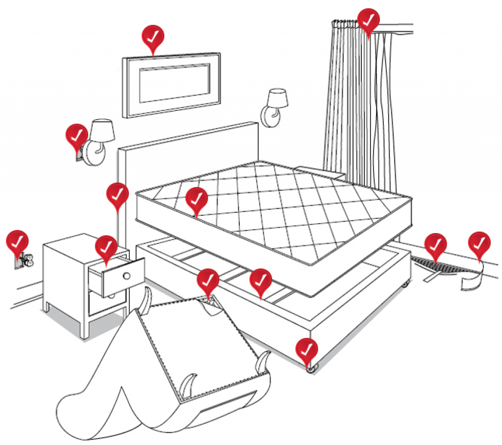 Where Do Bed Bugs Hide?