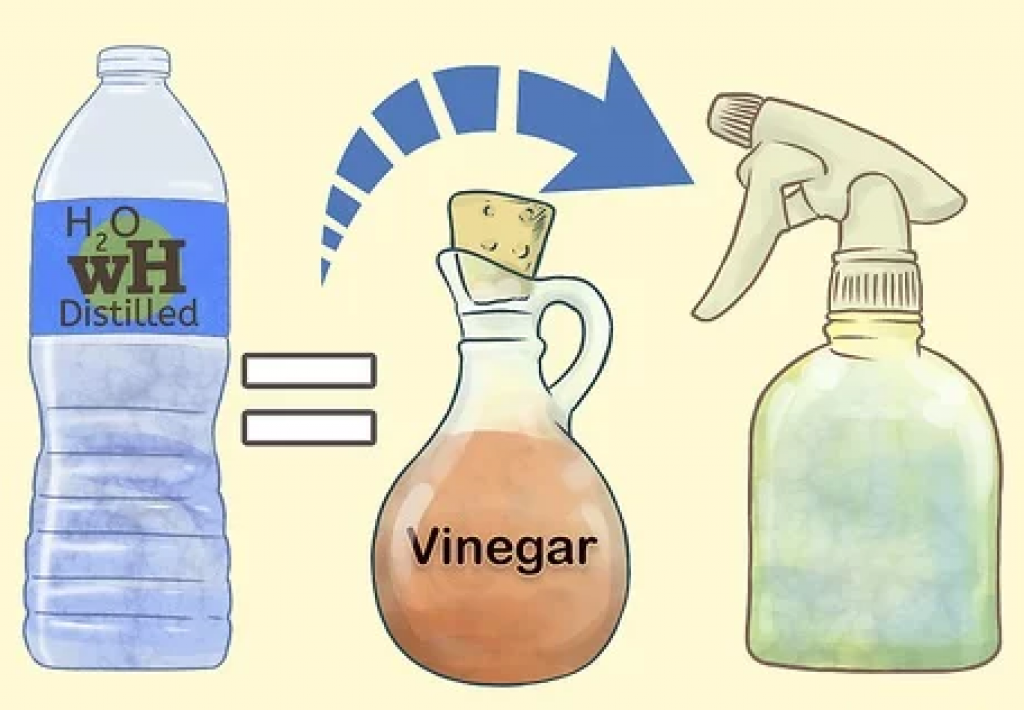 Step 2: Dilute White Vinegar