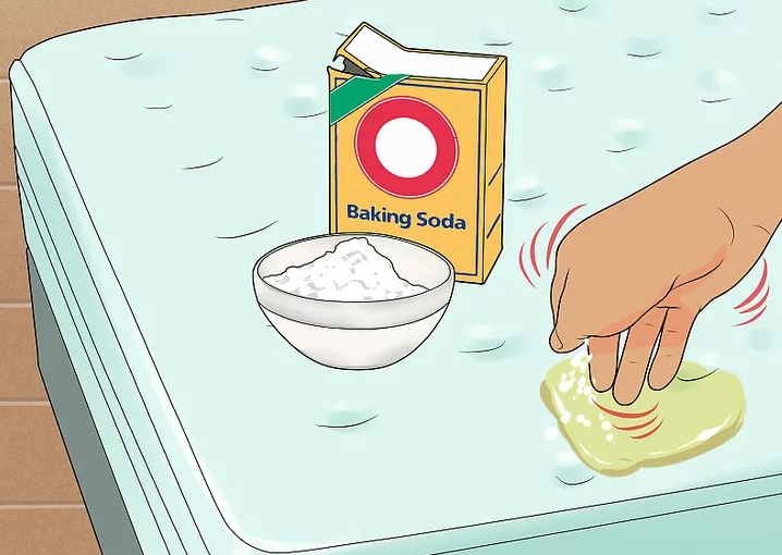 How To Get Dog Pee Out Of Mattress Top Tips from Experts