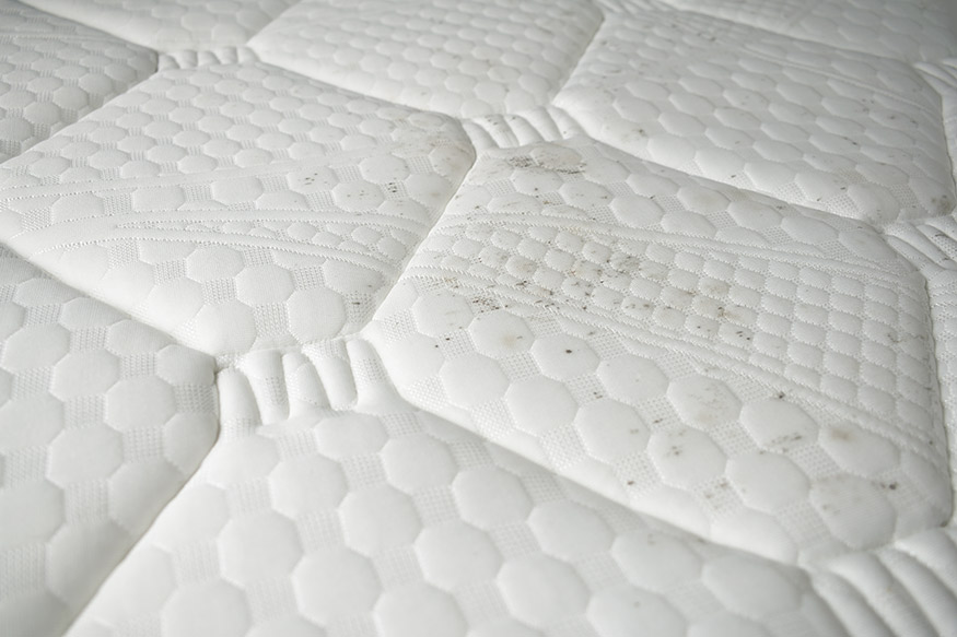 Best Mattresses For Shoulder Pain