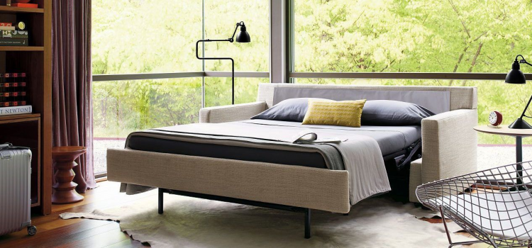 Best Mattress Topper For Sleeper Sofa Reviews