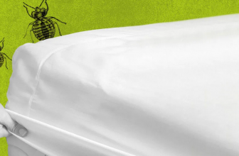 Best Bed Bug Mattress Cover Reviews