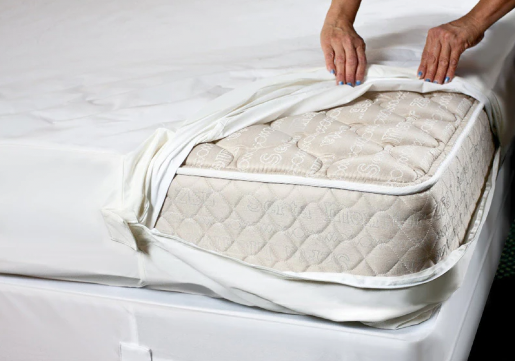 What Is A Bed Bug Mattress Cover?