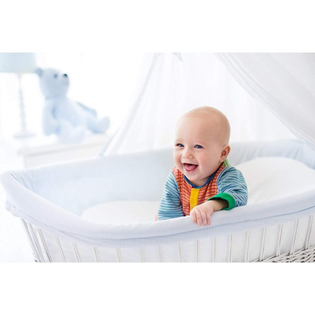 Safe And Sound Crib Mattress Protector Review