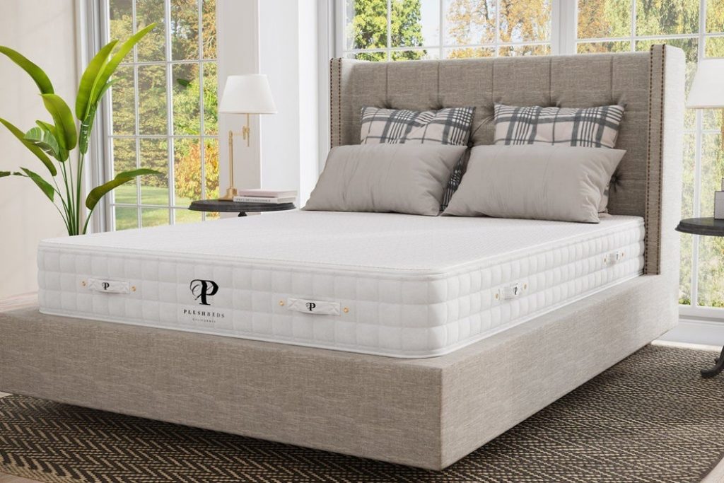 PlushBeds The Natural Bliss® 100% Natural Latex Mattress Review